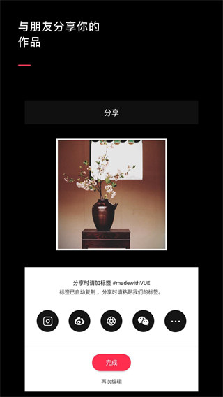 VUE2025最新版截图5