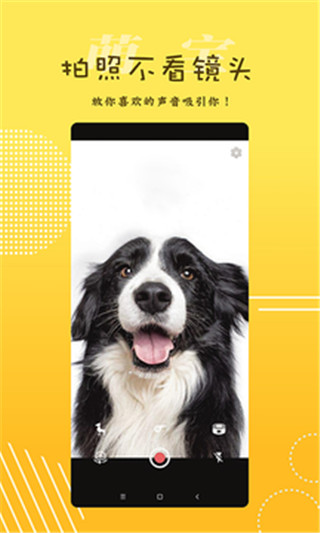 萌宝照相机app截图5