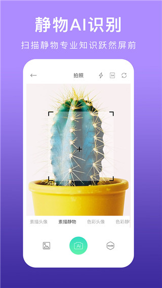 美术拍app截图4