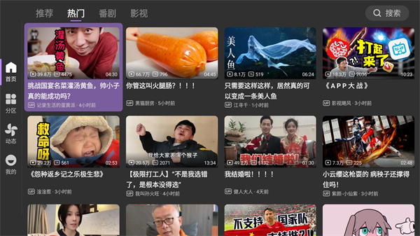 哔哩哔哩第三方客户端电视版截图2