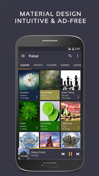 Pulsar脉冲音乐播放器手机版截图1