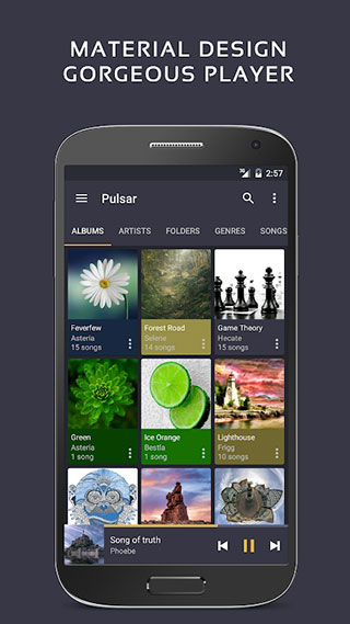 pulsar播放器专业版截图4