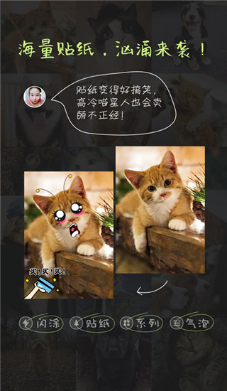萌宠相机app截图4