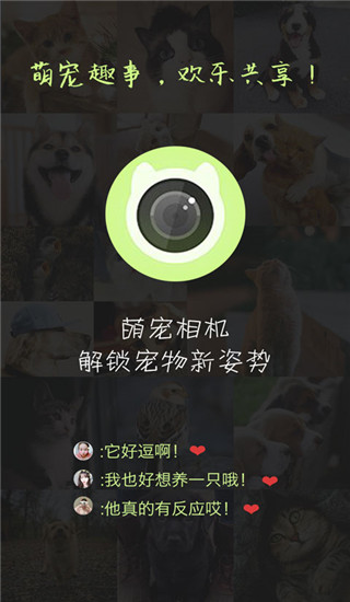 萌宠相机app截图5