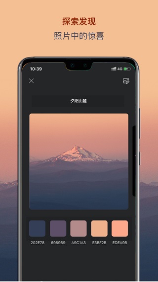 色采配色app截图1