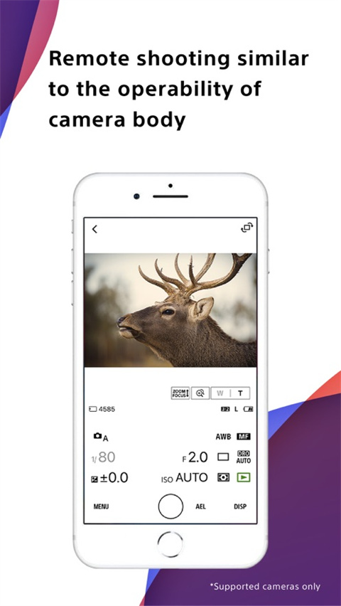 索尼Creators app截图2