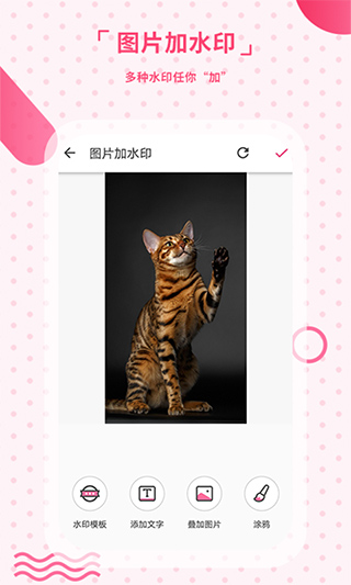 去水印相机app截图2