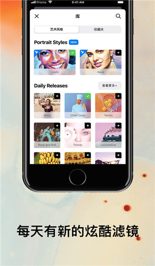 prisma高级版截图2