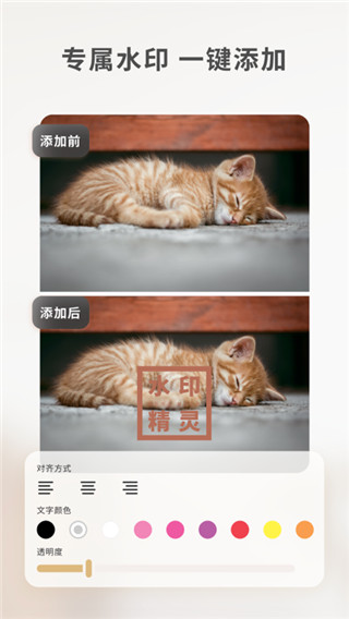 乐其爱水印精灵2025最新版截图4
