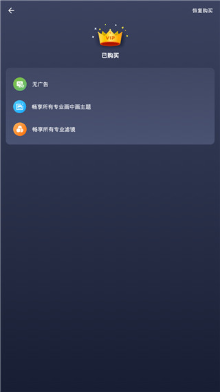 画中画视频制作app截图4