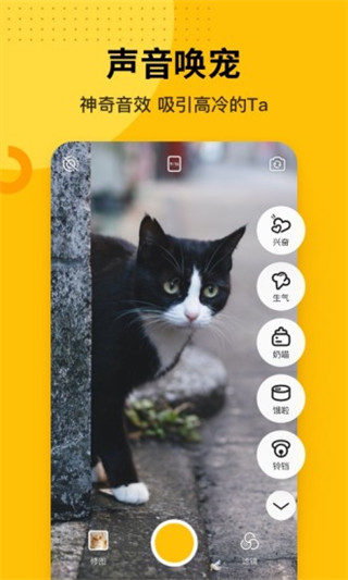 爪叽app截图2