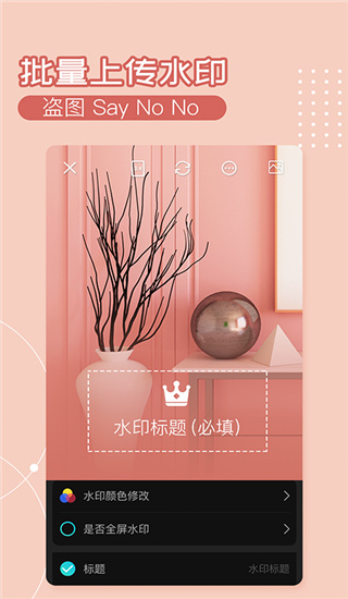 水印相机Ali截图2