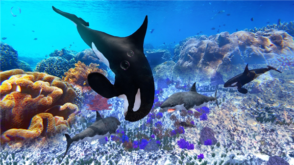虎鲸模拟器官方版(The Killer Whale)截图3