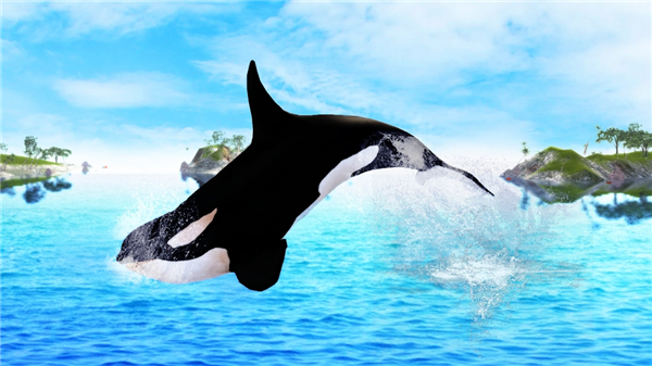 虎鲸模拟器官方版(The Killer Whale)截图4