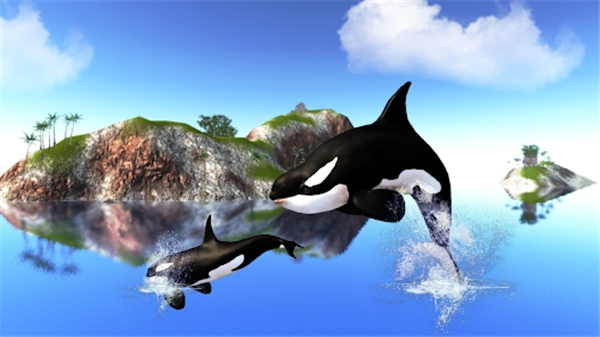 虎鲸模拟器官方版(The Killer Whale)截图5