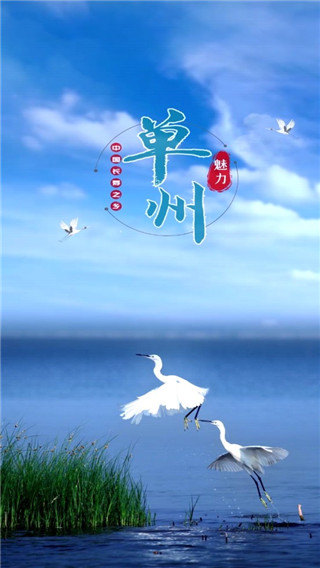 魅力单州官方版截图1