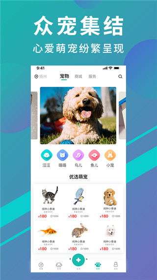 宠都app截图1