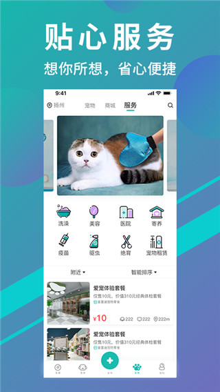 宠都app截图3