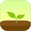 forest2025最新版本下载-Forestapp下载安装 v4.71.1安卓版