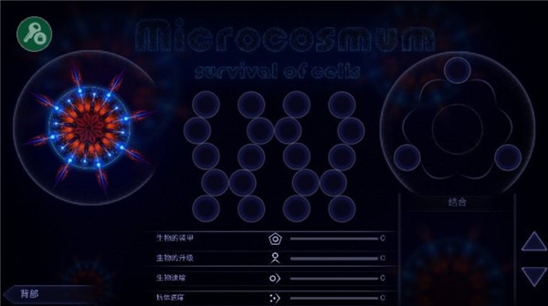 微生物世界细胞生存手机版截图4