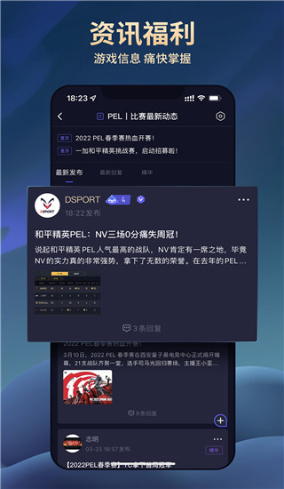 大圣电竞app官方版(DSPORT)截图4