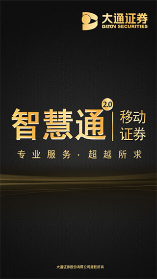 大通证券手机版智慧通最新版app截图2