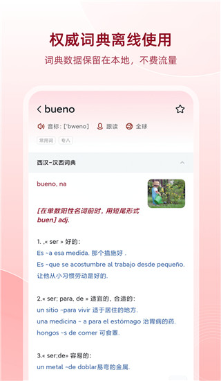 西语助手app官方版截图5