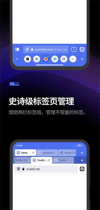 Vivaldi浏览器安卓最新版截图2