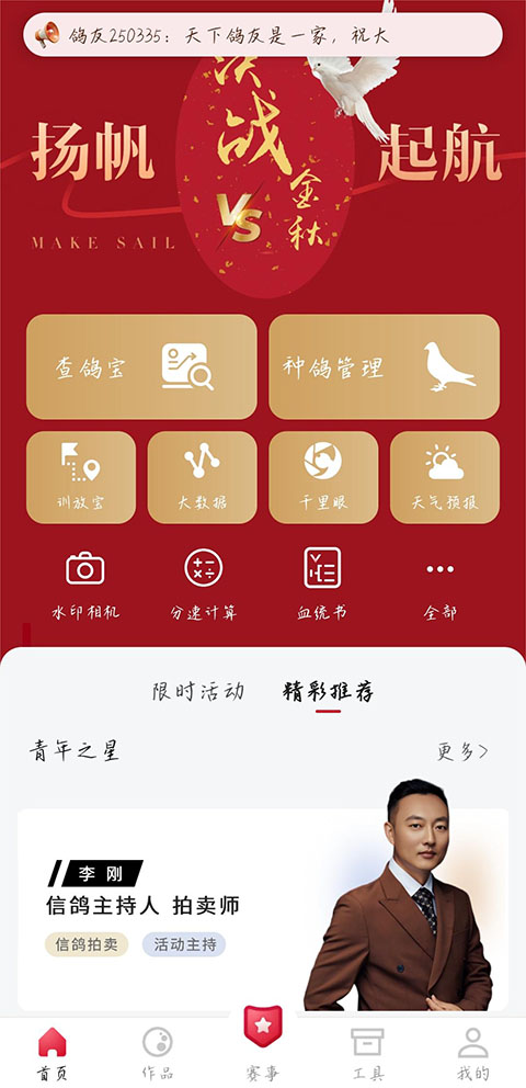 青鸽网应用界面