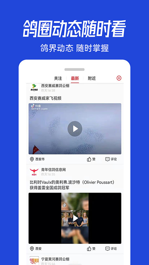 青鸽网app截图2
