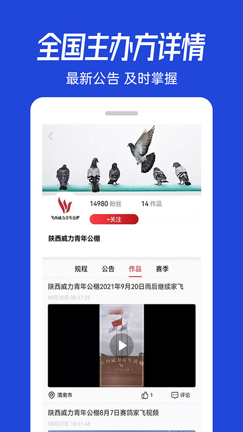 青鸽网app截图3