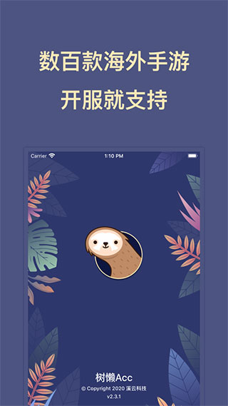 树懒Acc加速器最新版截图1