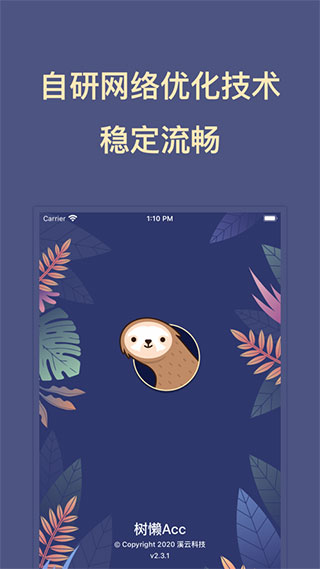 树懒Acc加速器最新版截图4