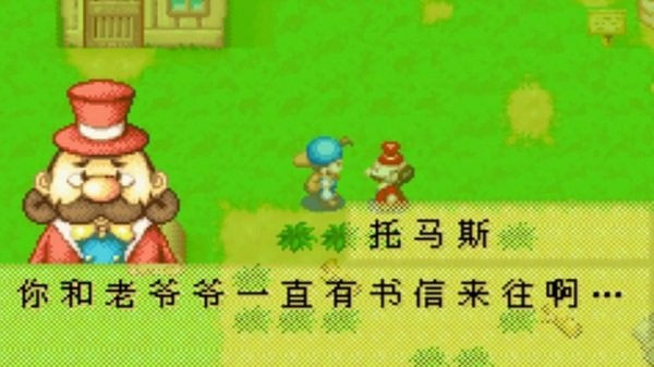 牧场物语矿石镇的伙伴们中文手机版截图5