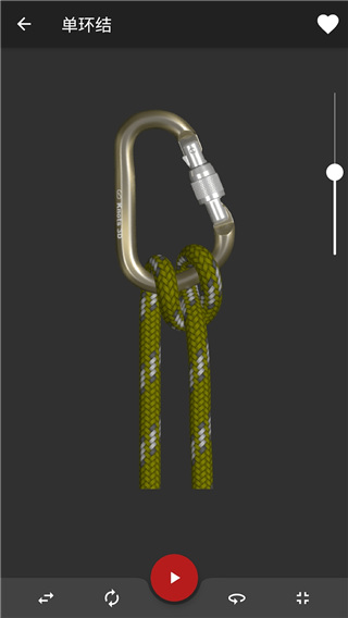 3D绳结(Knots 3D)App中文版截图2