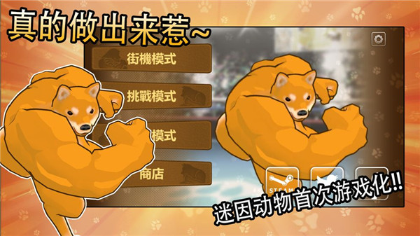动物之斗官方正版截图4