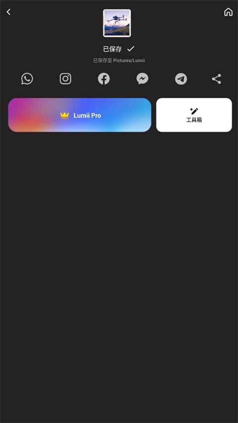 Lumii图片编辑app截图3