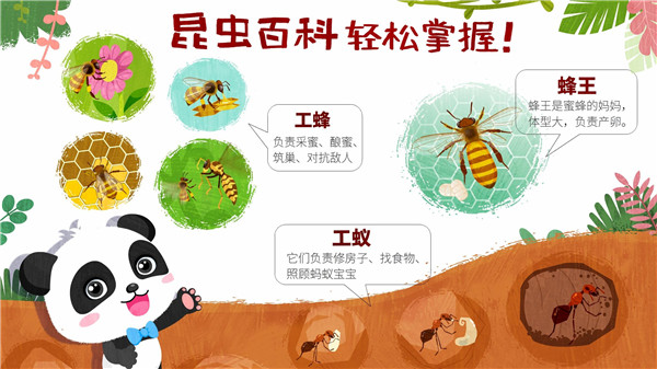 奇妙昆虫世界游戏最新版截图3