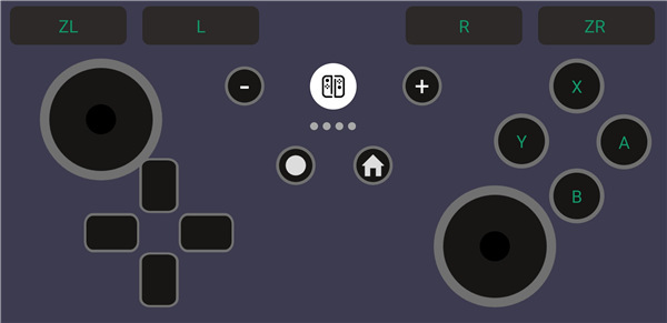 Switch手柄Pro app截图2