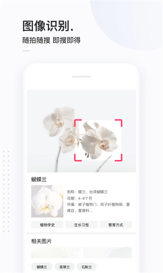 简单搜索app截图4