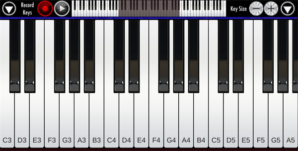 Real Piano安卓版官方版截图4
