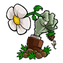 植物大战僵尸高难拓展版v0.80.00