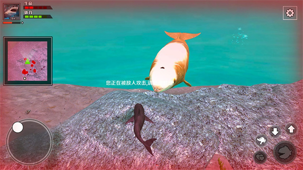 饥饿鲨鱼求生游戏截图5