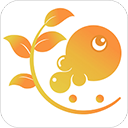 树鱼英语appv2.2.13