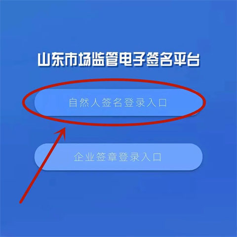 山东市场监管电子签名app