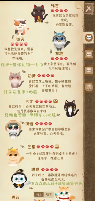 猫咪的秘密森林2025最新版