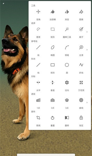 无限绘画官方版截图2