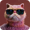画质云盒子app官方版v1.0