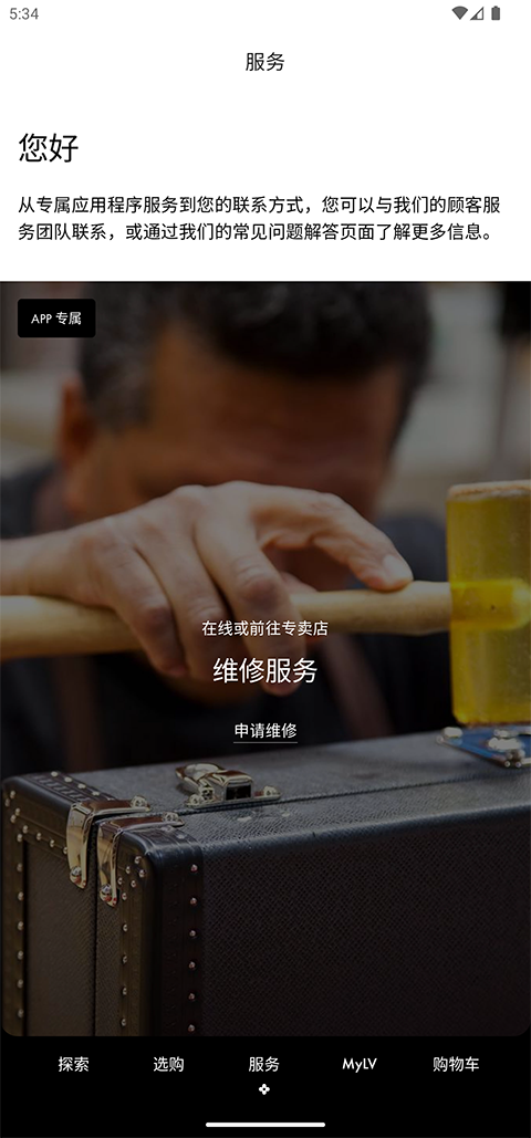 LouisVuitton截图5