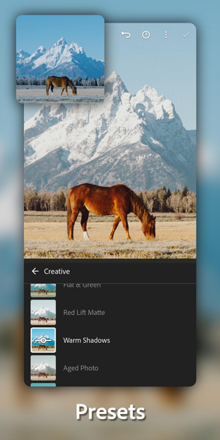 Lightroom手机版官方正版截图3